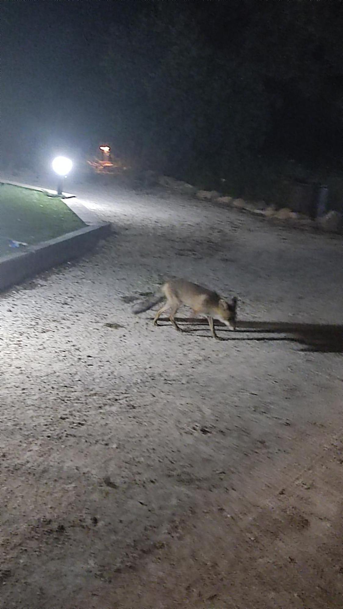 Cr La Carrasca Villa Riópar Kültér fotó
